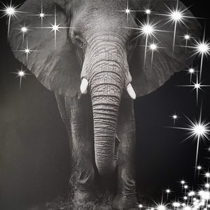 Meet your Posher, Vance